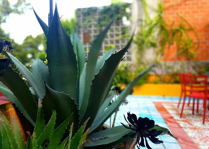 Bed and breakfast La Querencia Df México DF