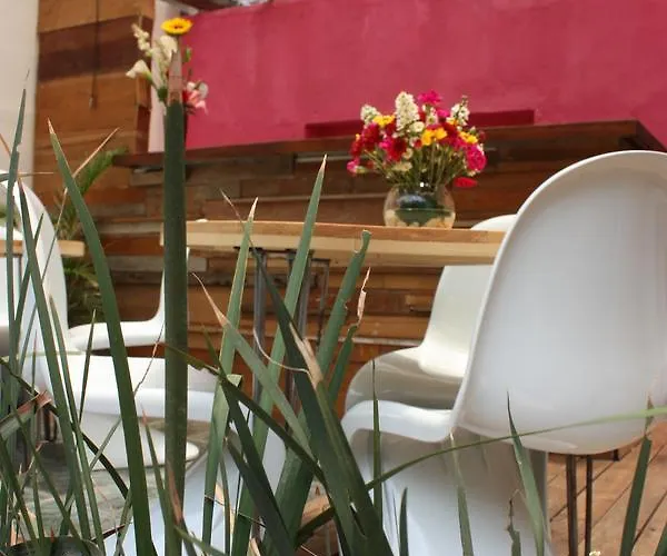 La Querencia Df Bed and breakfast 2*